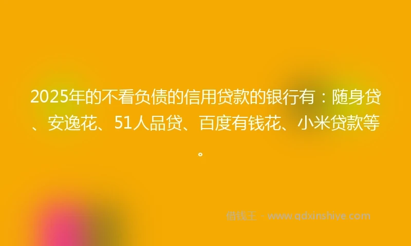 2025年的不看负债的信用贷款的银行有：随身贷、安逸花、51人品贷、百度有钱花、小米贷款等。