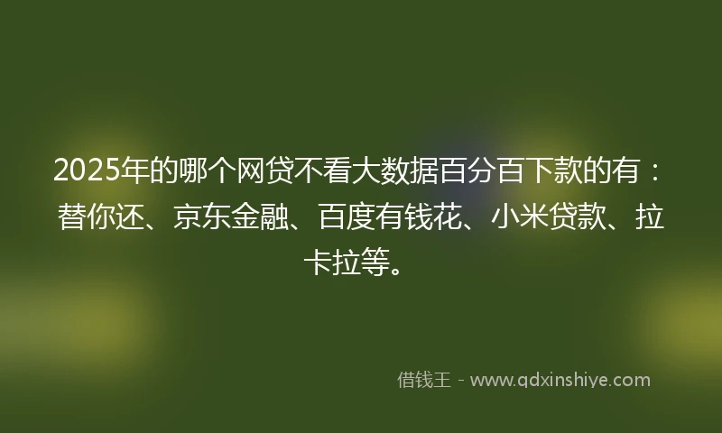 2025年的哪个网贷不看大数据百分百下款的有：替你还、京东金融、百度有钱花、小米贷款、拉卡拉等。