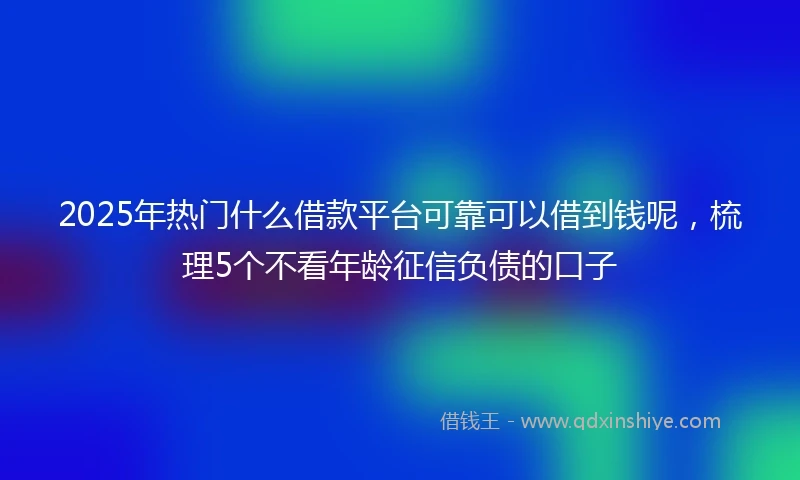 2025年热门什么借款平台可靠可以借到钱呢，梳理5个不看年龄征信负债的口子
