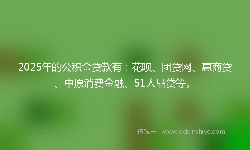 2025年的公积金贷款有：花呗、团贷网、惠商贷、中原消费金融、51人品贷等。