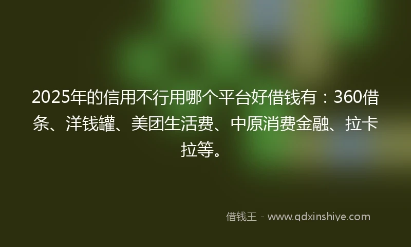 2025年的信用不行用哪个平台好借钱有：360借条、洋钱罐、美团生活费、中原消费金融、拉卡拉等。