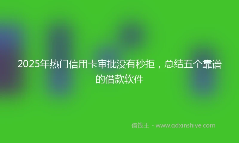 2025年热门信用卡审批没有秒拒，总结五个靠谱的借款软件