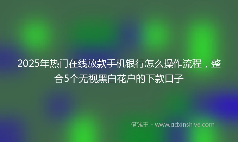 2025年热门在线放款手机银行怎么操作流程,整合5个无视黑白花户的下款口子