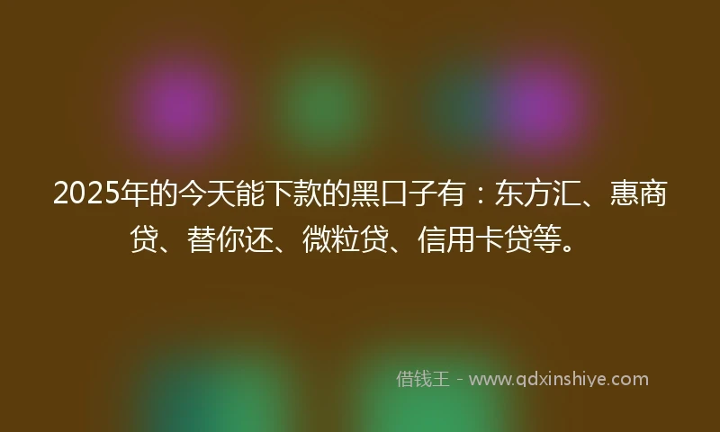 2025年的今天能下款的黑口子有：东方汇、惠商贷、替你还、微粒贷、信用卡贷等。