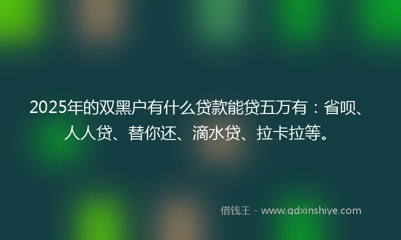 2025年的双黑户有什么贷款能贷五万有：省呗、人人贷、替你还、滴水贷、拉卡拉等。