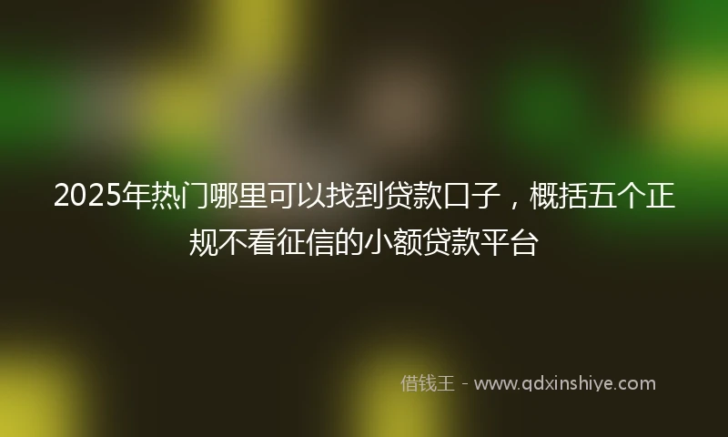 2025年热门哪里可以找到贷款口子，概括五个正规不看征信的小额贷款平台