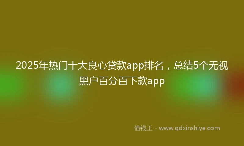 2025年热门十大良心贷款app排名，总结5个无视黑户百分百下款app