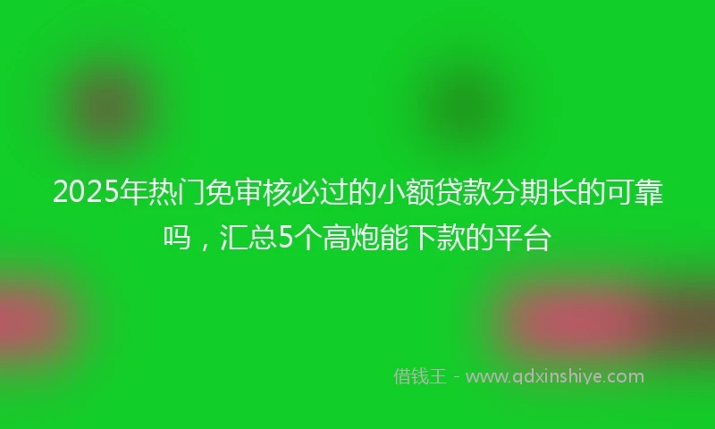 2025年热门免审核必过的小额贷款分期长的可靠吗，汇总5个高炮能下款的平台