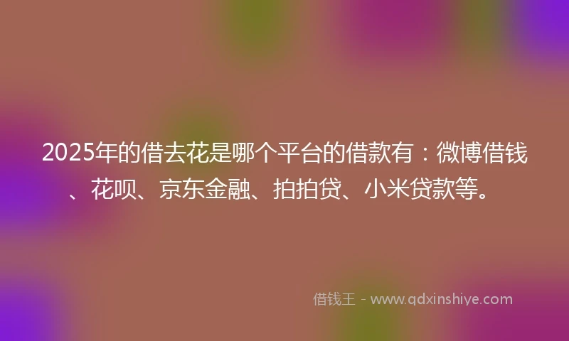 2025年的借去花是哪个平台的借款有：微博借钱、花呗、京东金融、拍拍贷、小米贷款等。