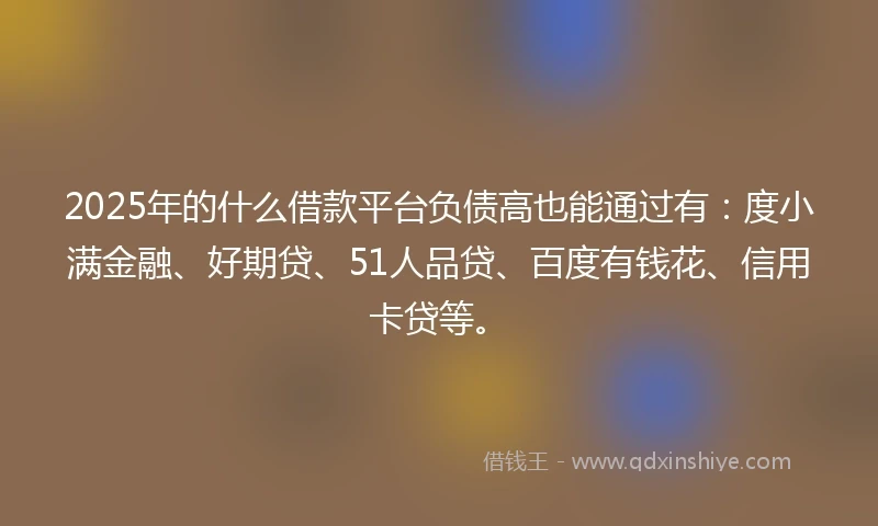 2025年的什么借款平台负债高也能通过有：度小满金融、好期贷、51人品贷、百度有钱花、信用卡贷等。
