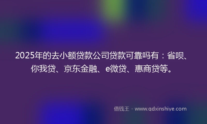 2025年的去小额贷款公司贷款可靠吗有：省呗、你我贷、京东金融、e微贷、惠商贷等。