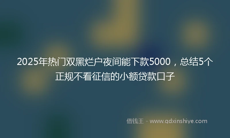2025年热门双黑烂户夜间能下款5000，总结5个正规不看征信的小额贷款口子
