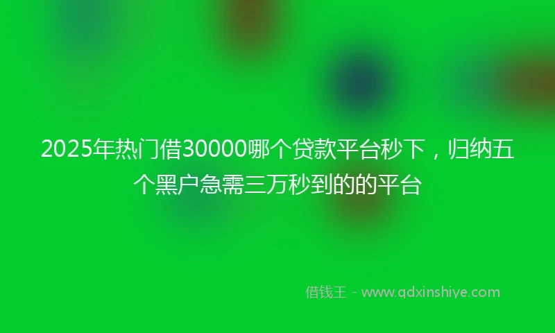 2025年热门借30000哪个贷款平台秒下，归纳五个黑户急需三万秒到的的平台