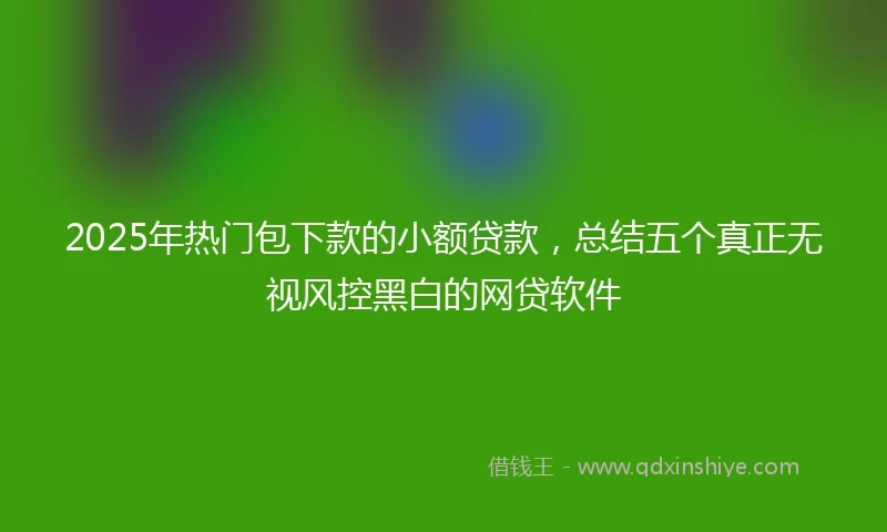 2025年热门包下款的小额贷款，总结五个真正无视风控黑白的网贷软件