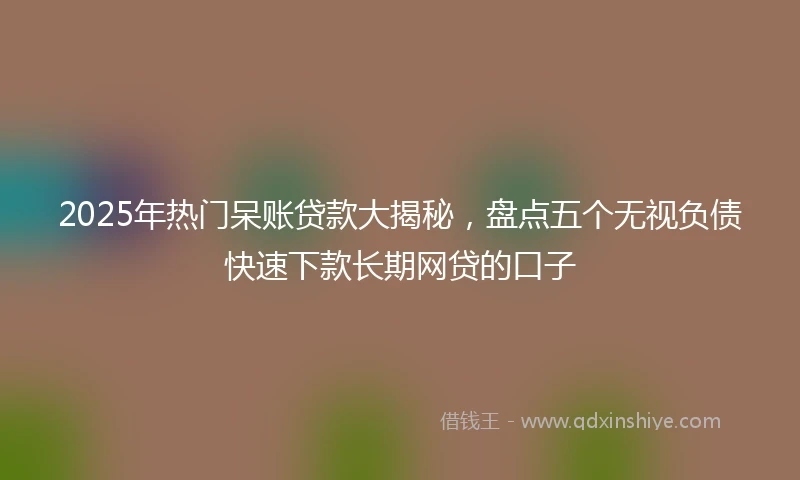2025年热门呆账贷款大揭秘，盘点五个无视负债快速下款长期网贷的口子