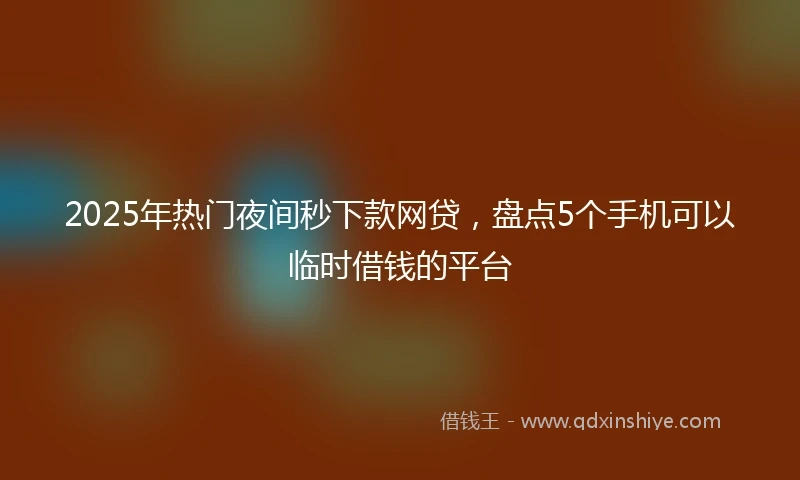 2025年热门夜间秒下款网贷，盘点5个手机可以临时借钱的平台