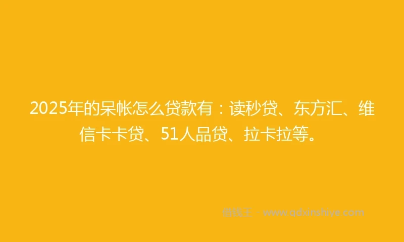 2025年的呆帐怎么贷款有：读秒贷、东方汇、维信卡卡贷、51人品贷、拉卡拉等。