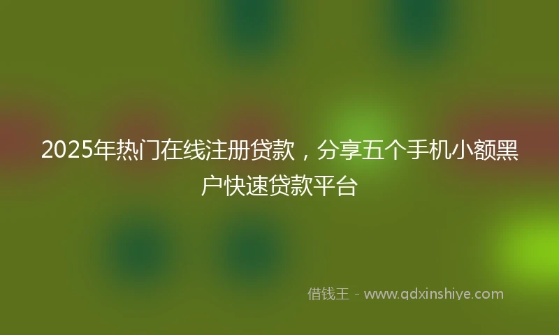 2025年热门在线注册贷款，分享五个手机小额黑户快速贷款平台