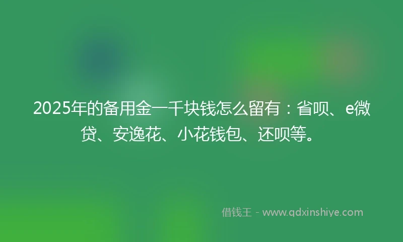 2025年的备用金一千块钱怎么留有：省呗、e微贷、安逸花、小花钱包、还呗等。