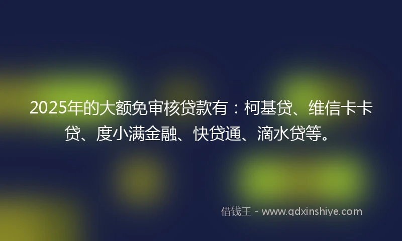 2025年的大额免审核贷款有：柯基贷、维信卡卡贷、度小满金融、快贷通、滴水贷等。