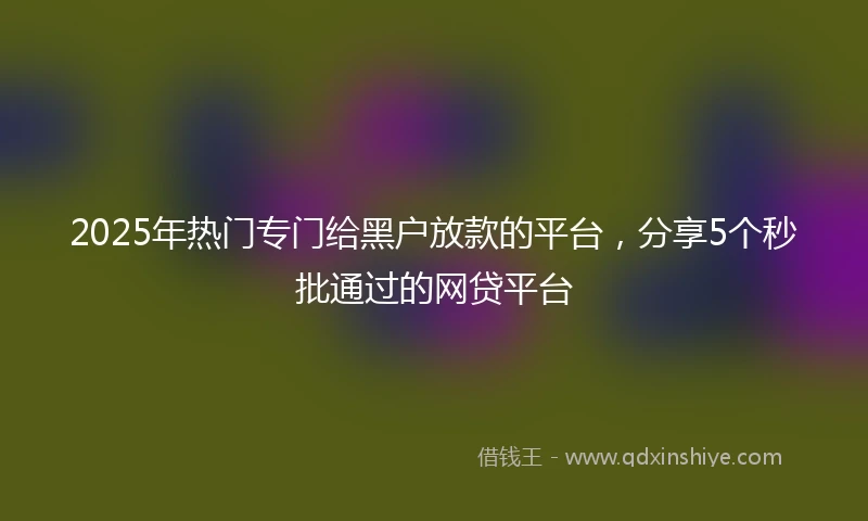 2025年热门专门给黑户放款的平台，分享5个秒批通过的网贷平台