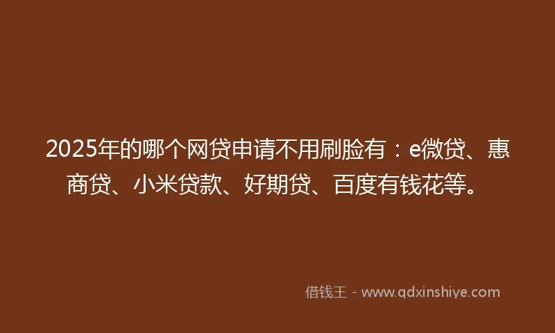 2025年的哪个网贷申请不用刷脸有：e微贷、惠商贷、小米贷款、好期贷、百度有钱花等。