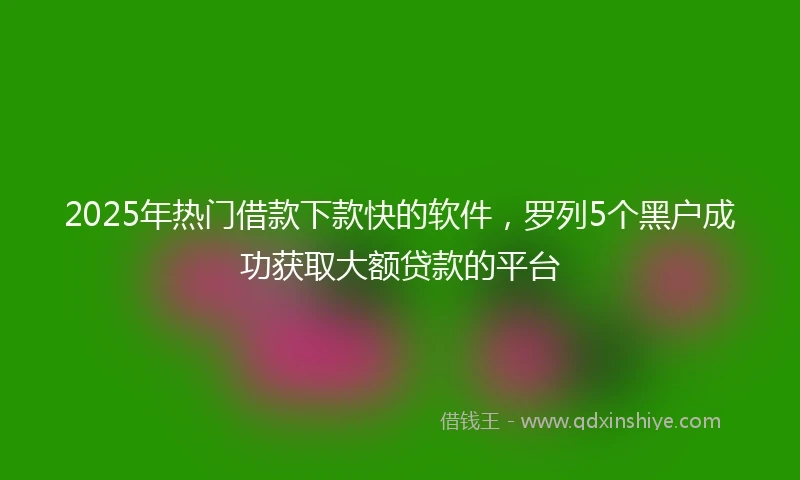 2025年热门借款下款快的软件，罗列5个黑户成功获取大额贷款的平台