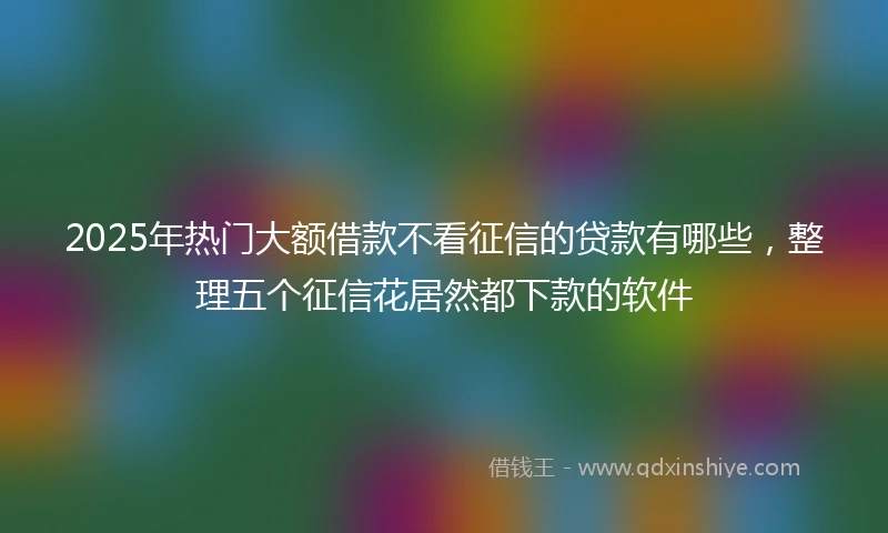 2025年热门大额借款不看征信的贷款有哪些，整理五个征信花居然都下款的软件