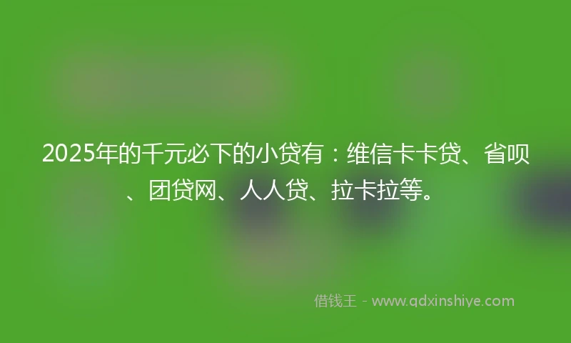 2025年的千元必下的小贷有：维信卡卡贷、省呗、团贷网、人人贷、拉卡拉等。