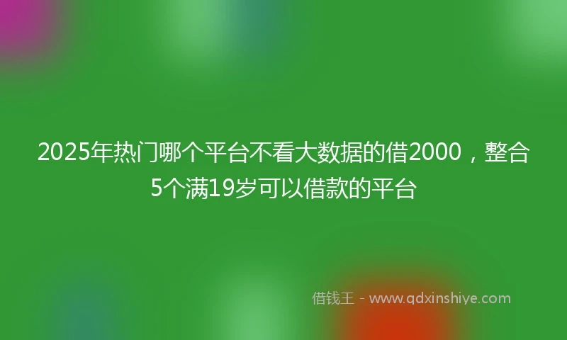2025年热门哪个平台不看大数据的借2000，整合5个满19岁可以借款的平台