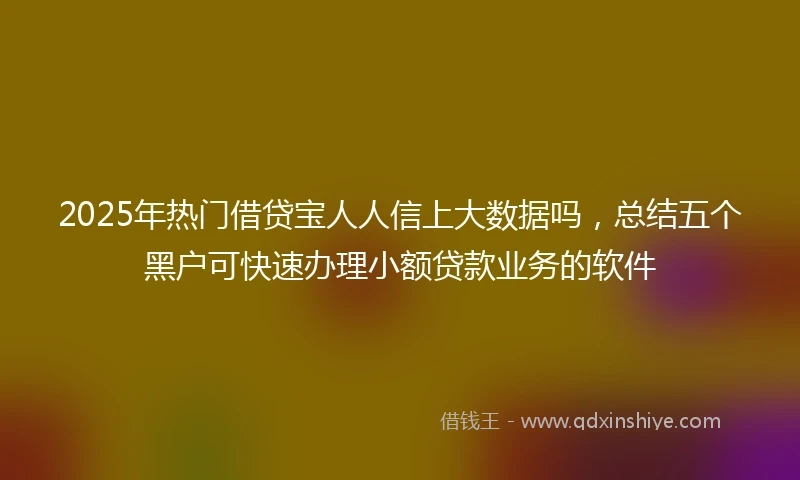 2025年热门借贷宝人人信上大数据吗，总结五个黑户可快速办理小额贷款业务的软件
