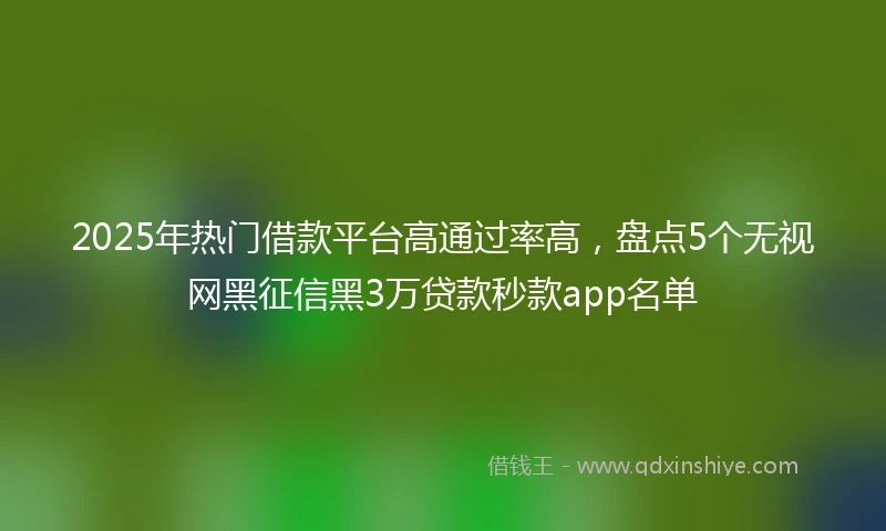 2025年热门借款平台高通过率高,盘点5个无视网黑征信黑3万贷款秒款app名单