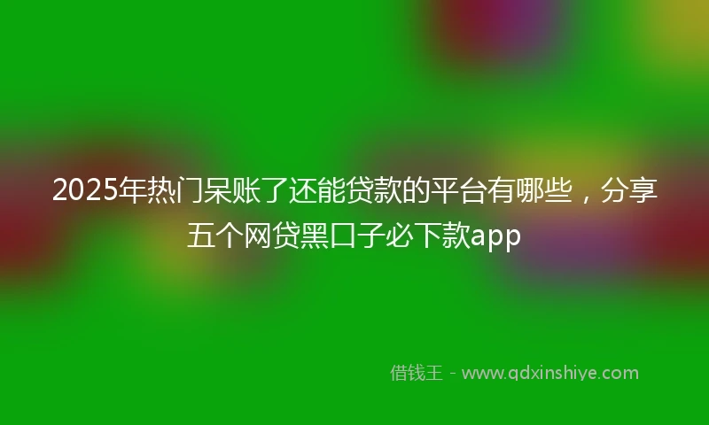 2025年热门呆账了还能贷款的平台有哪些，分享五个网贷黑口子必下款app