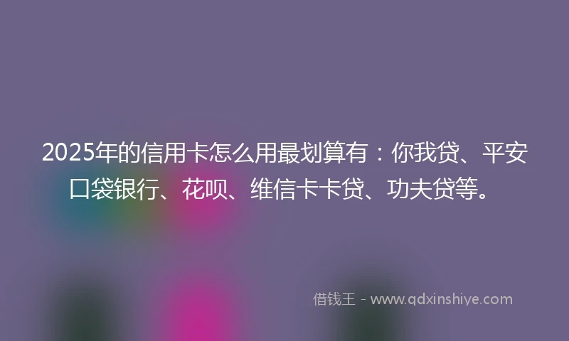 2025年的信用卡怎么用最划算有：你我贷、平安口袋银行、花呗、维信卡卡贷、功夫贷等。