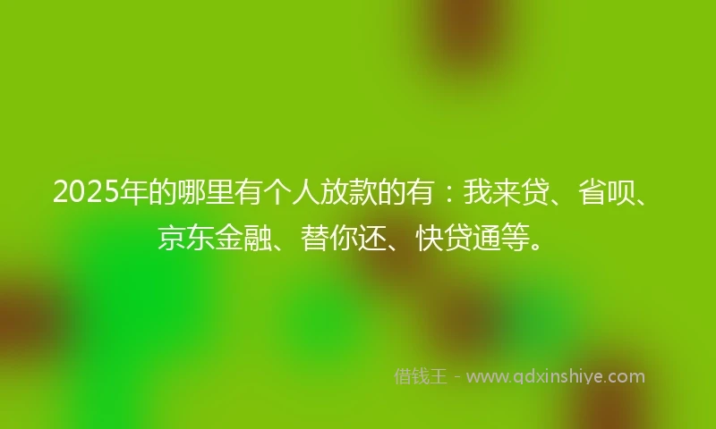 2025年的哪里有个人放款的有：我来贷、省呗、京东金融、替你还、快贷通等。