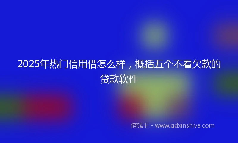 2025年热门信用借怎么样，概括五个不看欠款的贷款软件