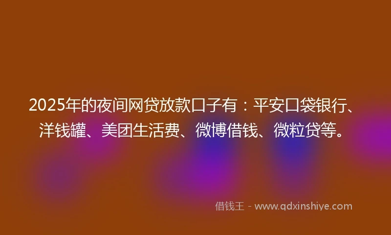 2025年的夜间网贷放款口子有：平安口袋银行、洋钱罐、美团生活费、微博借钱、微粒贷等。