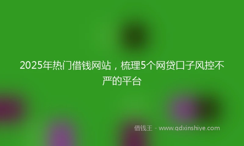 2025年热门借钱网站，梳理5个网贷口子风控不严的平台