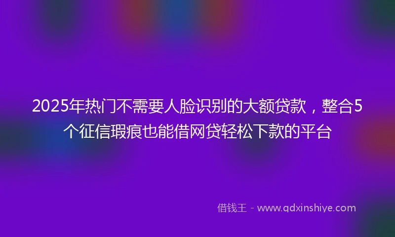 2025年热门不需要人脸识别的大额贷款，整合5个征信瑕疵也能借网贷轻松下款的平台