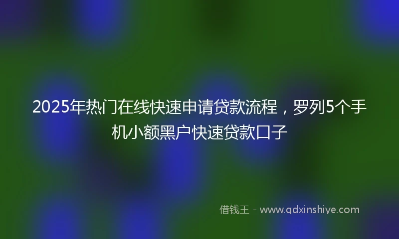 2025年热门在线快速申请贷款流程，罗列5个手机小额黑户快速贷款口子