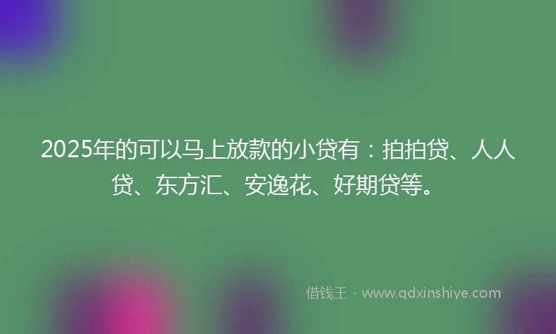 2025年的可以马上放款的小贷有：拍拍贷、人人贷、东方汇、安逸花、好期贷等。
