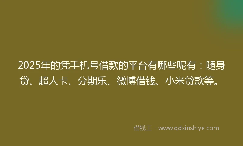 2025年的凭手机号借款的平台有哪些呢有：随身贷、超人卡、分期乐、微博借钱、小米贷款等。