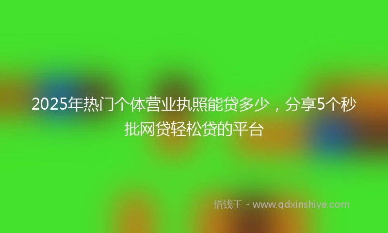 2025年热门个体营业执照能贷多少，分享5个秒批网贷轻松贷的平台