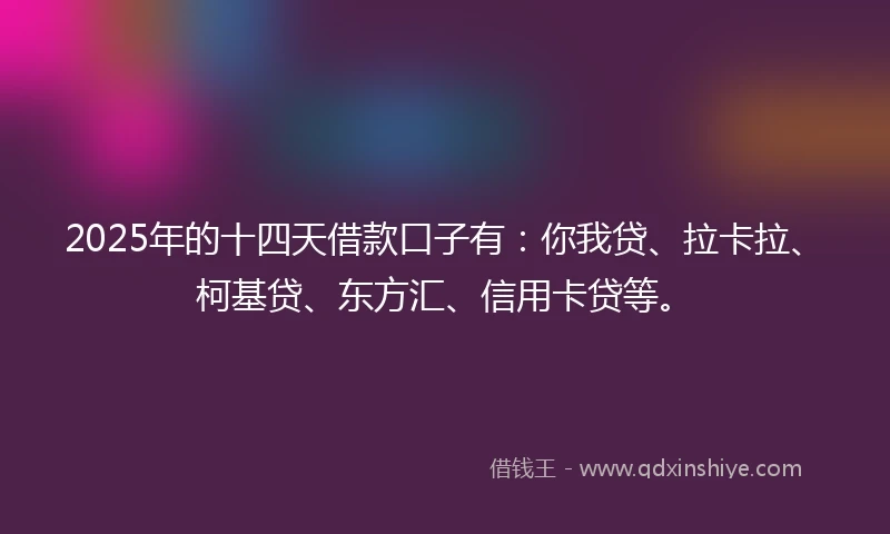 2025年的十四天借款口子有：你我贷、拉卡拉、柯基贷、东方汇、信用卡贷等。