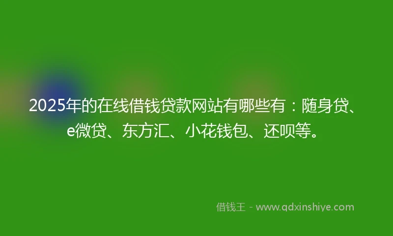 2025年的在线借钱贷款网站有哪些有：随身贷、e微贷、东方汇、小花钱包、还呗等。