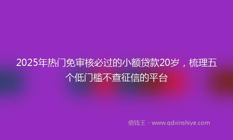 2025年热门免审核必过的小额贷款20岁，梳理五个低门槛不查征信的平台
