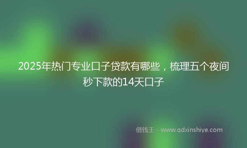 2025年热门专业口子贷款有哪些,梳理五个夜间秒下款的14天口子