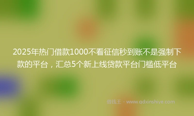 2025年热门借款1000不看征信秒到账不是强制下款的平台,汇总5个新上线贷款平台门槛低平台