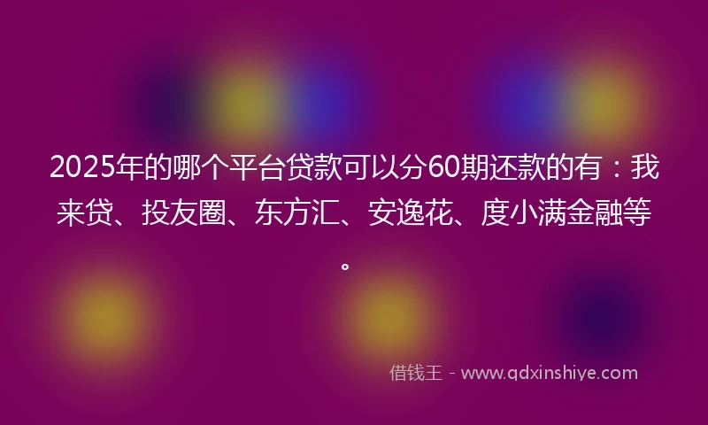 2025年的哪个平台贷款可以分60期还款的有：我来贷、投友圈、东方汇、安逸花、度小满金融等。