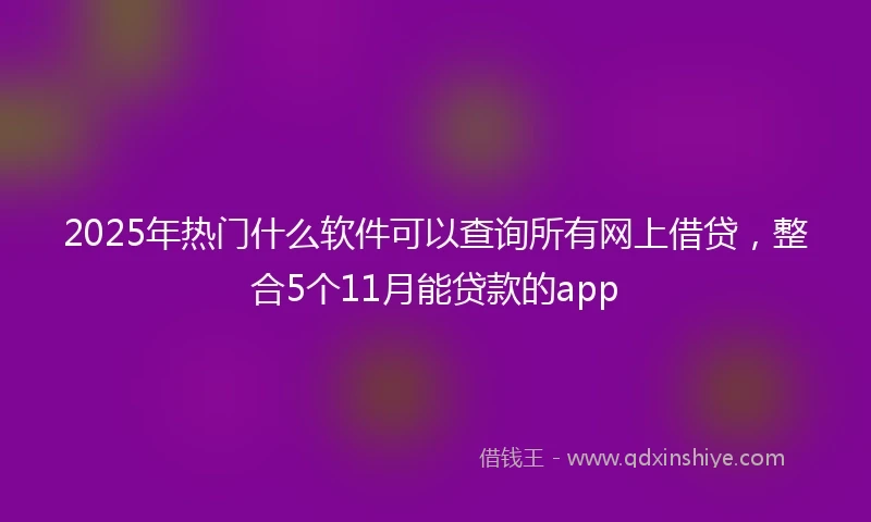 2025年热门什么软件可以查询所有网上借贷，整合5个11月能贷款的app
